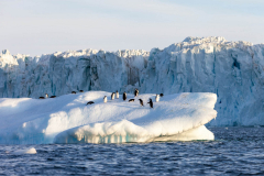 Cruise-36