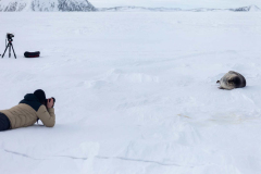 Weddell-Seal-with-Scot-18th-September-13